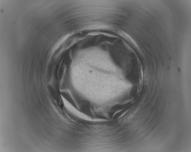 X0000076320436200610272008