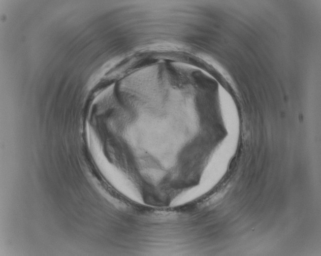 X0000076320437200610272008