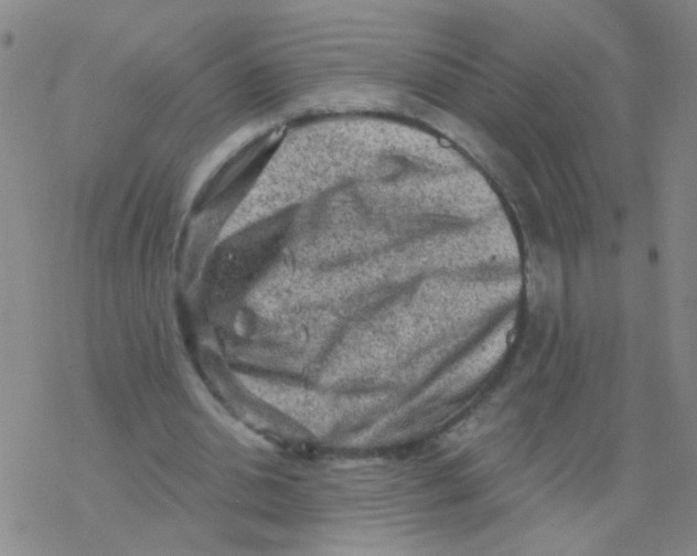 X0000076320438200610272008