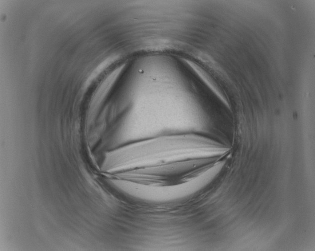 X0000076320440200610272008