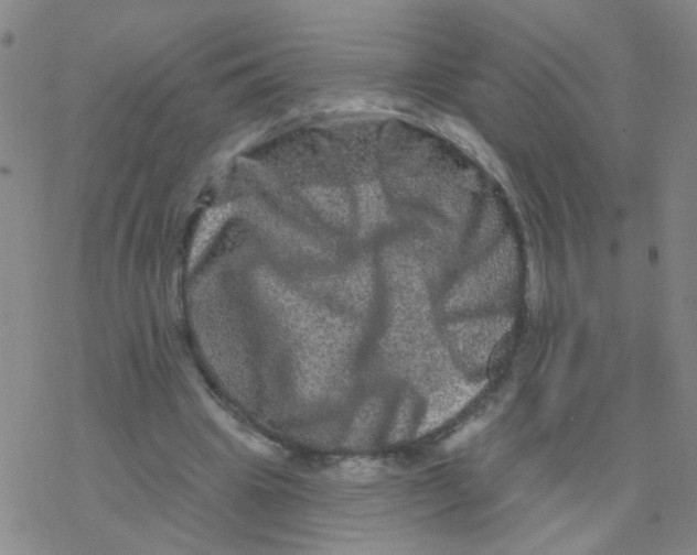 X0000076320441200610272008