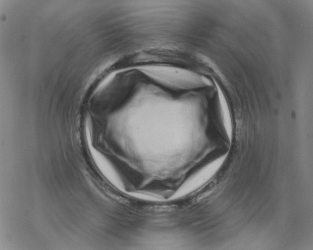 X0000076320443200610272008