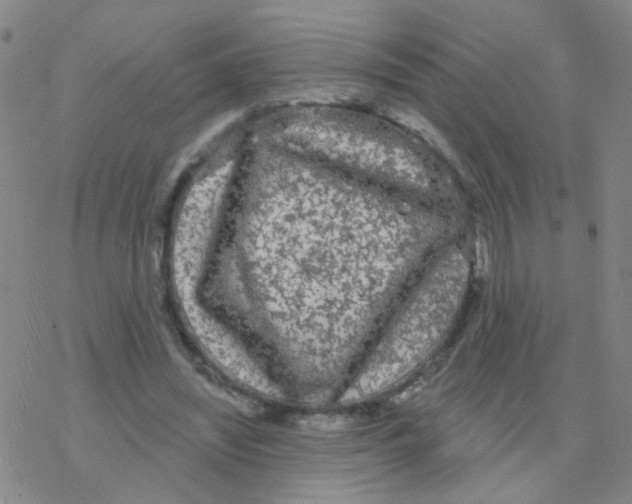 X0000076320444200610272008