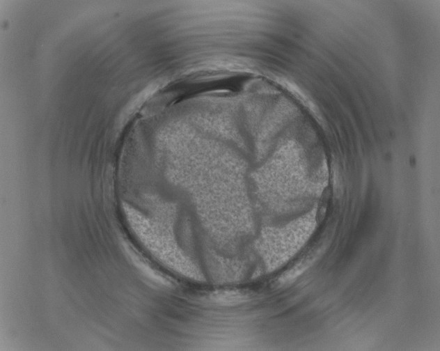 X0000076320445200610272008