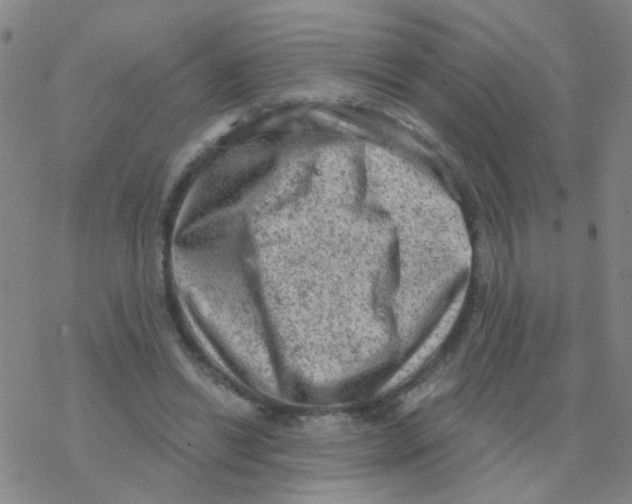 X0000076320446200610272008