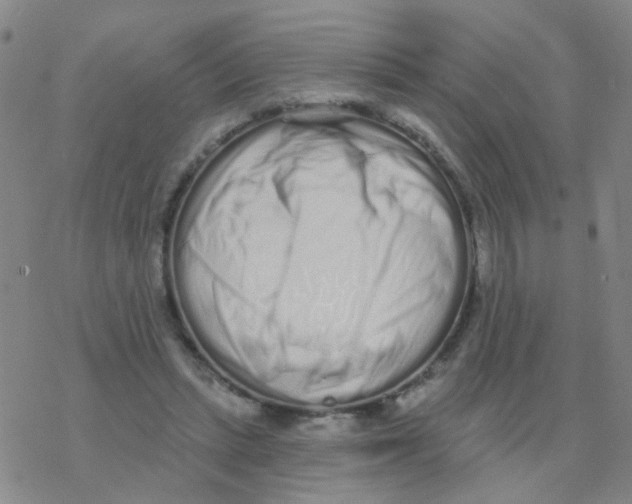 X0000076320447200610272008