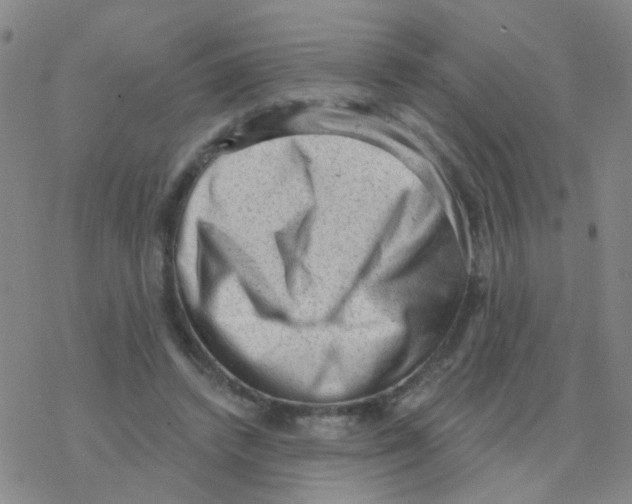 X0000076320448200610272008