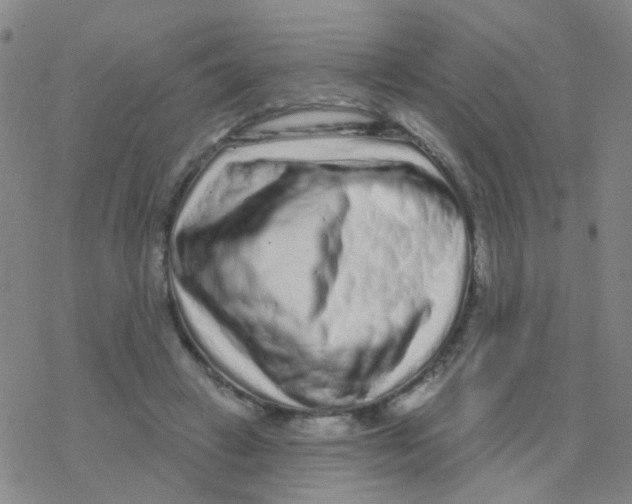 X0000076320449200610272008