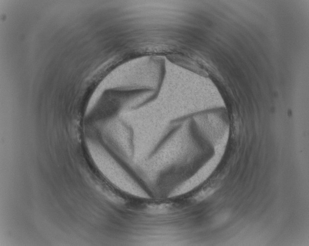 X0000076320450200610272008