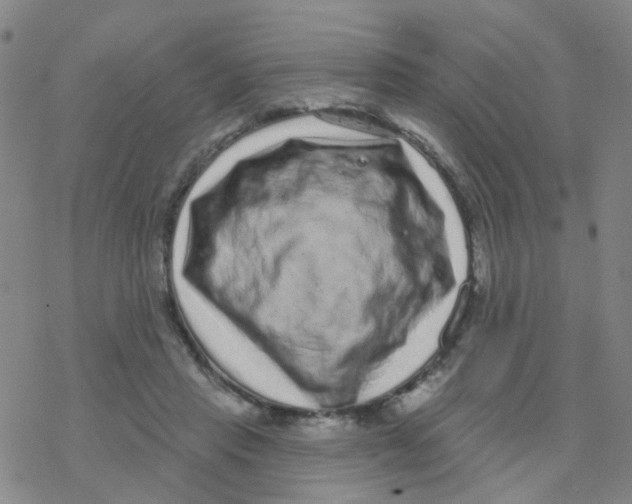 X0000076320453200610272008