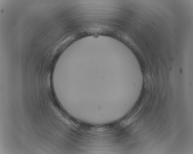 X0000076320454200610272008