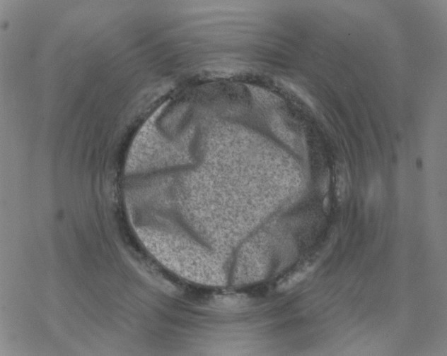 X0000076320455200610272008