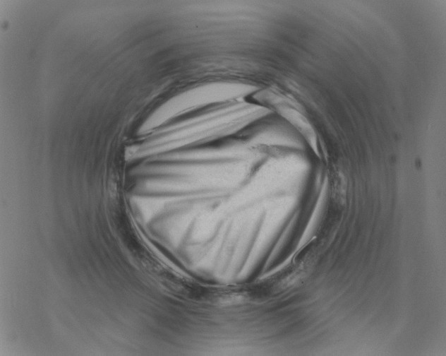 X0000076320456200610272008