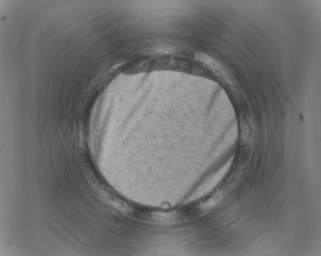 X0000076320457200610272008