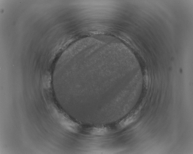 X0000076320458200610272008