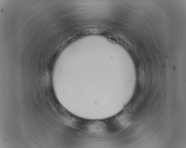 X0000076320459200610272008