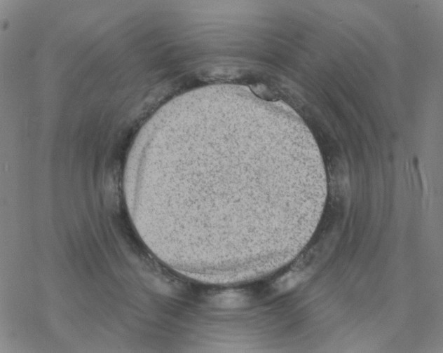 X0000076320460200610272008