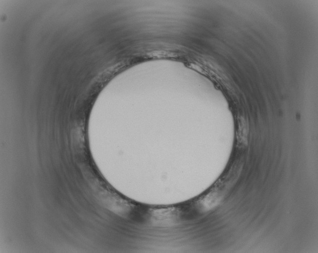 X0000076320461200610272008