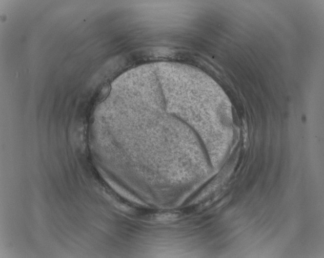 X0000076320462200610272008