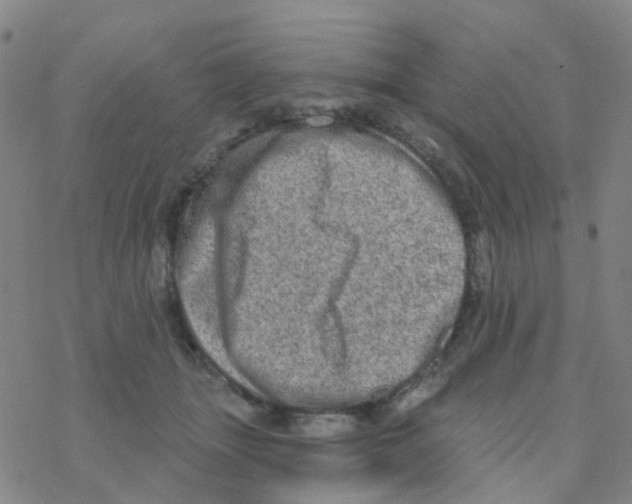 X0000076320463200610272008