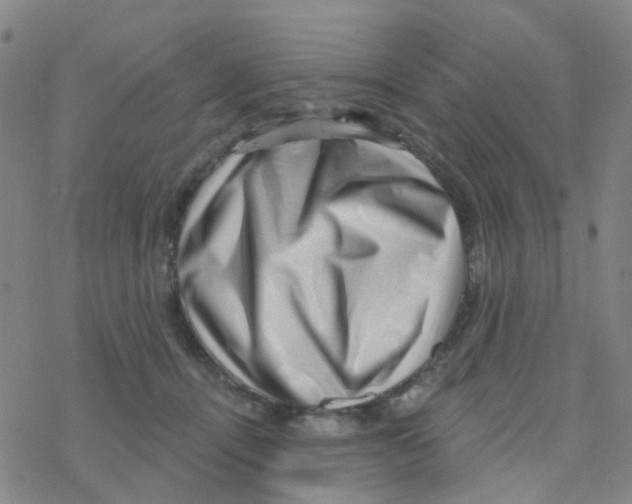 X0000076320464200610272008