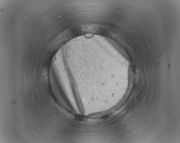 X0000076320466200610272008