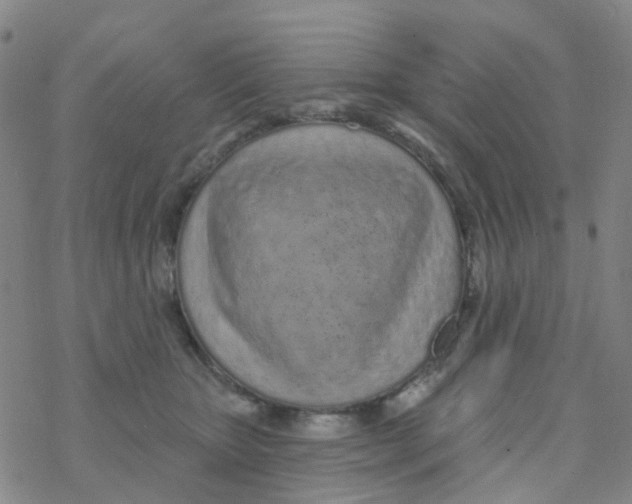 X0000076320467200610272008