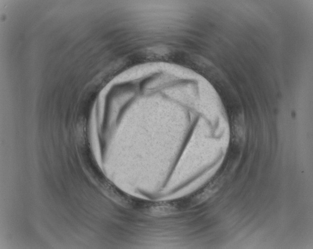 X0000076320468200610272008