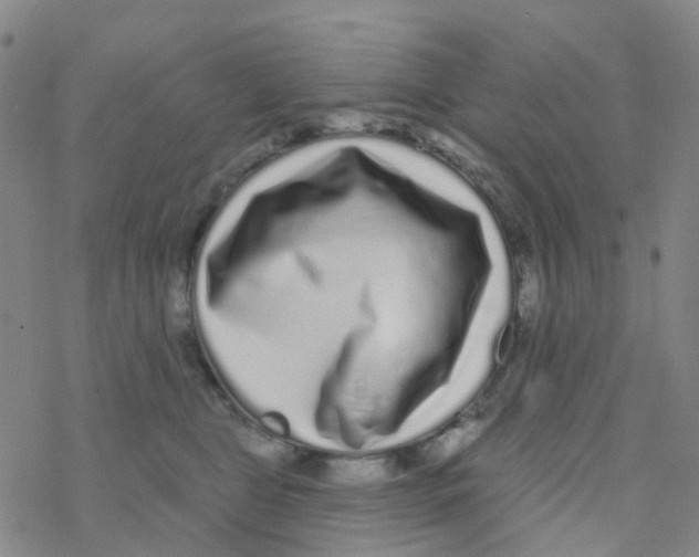 X0000076320469200610272008