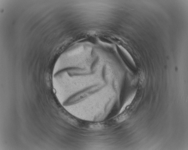 X0000076320470200610272008