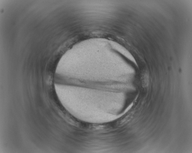 X0000076320472200610272009