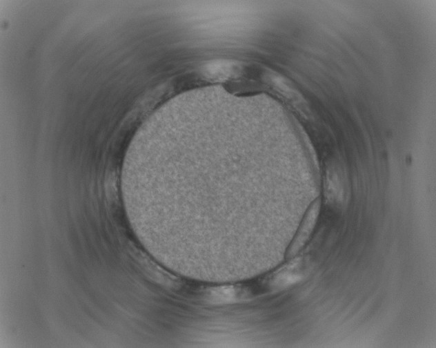 X0000076320473200610272009