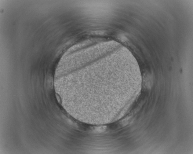 X0000076320474200610272009