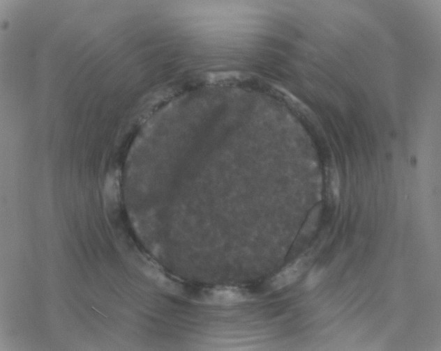 X0000076320475200610272009