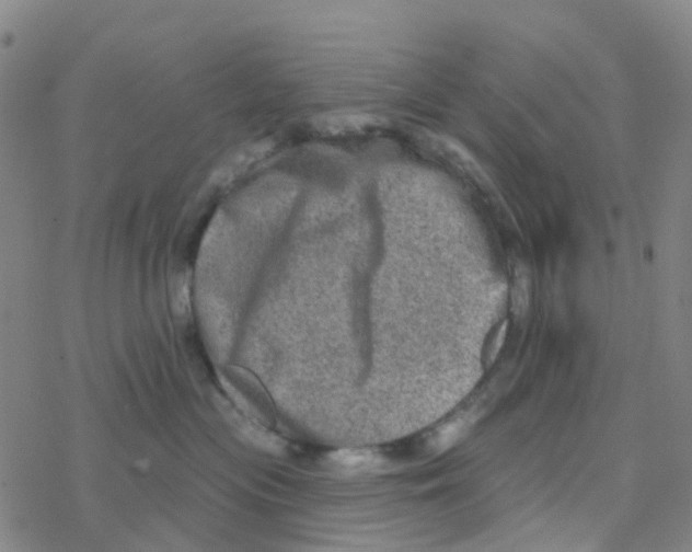 X0000076320477200610272009