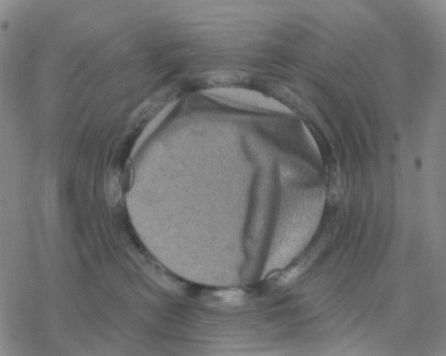 X0000076320478200610272009