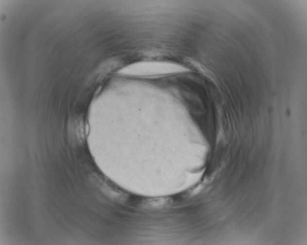 X0000076320479200610272009