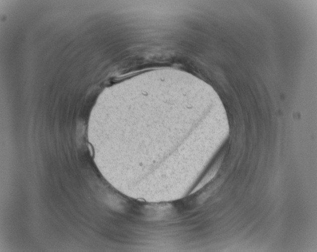 X0000076320480200610272009