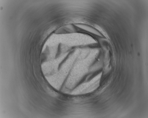 X0000076320481200610272008