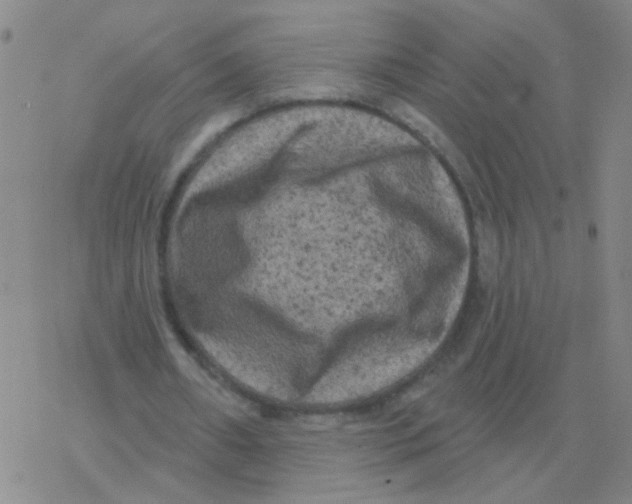 X0000076320482200610272008