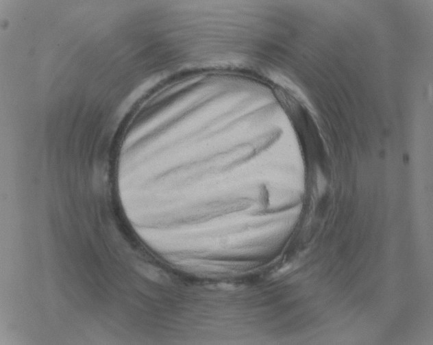 X0000076320483200610272008