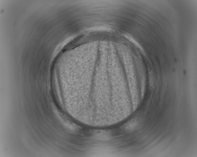 X0000076320486200610272008