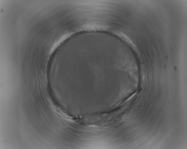 X0000076320488200610272008