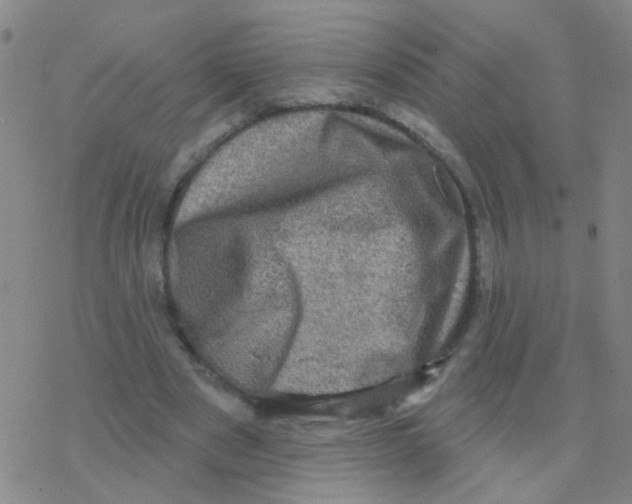 X0000076320489200610272008