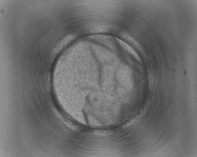 X0000076320490200610272008