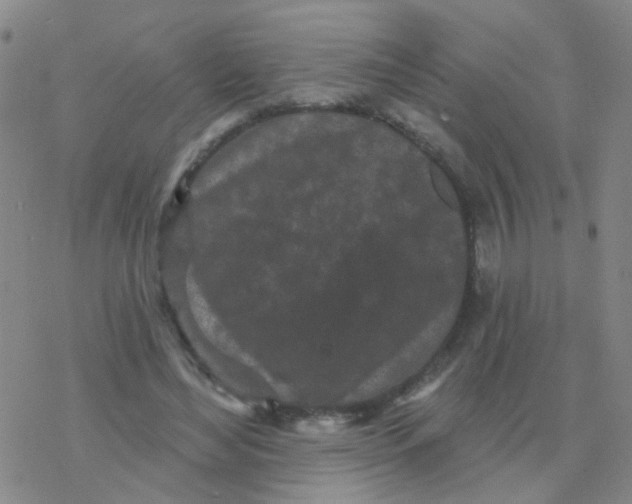 X0000076320492200610272008