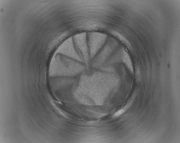 X0000076320493200610272008