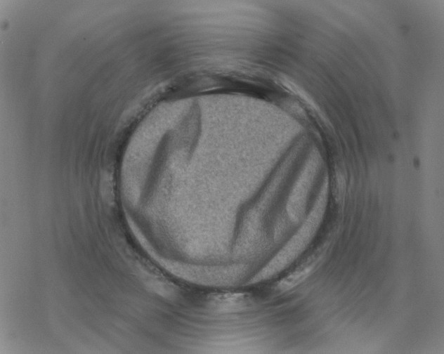 X0000076320497200610272008