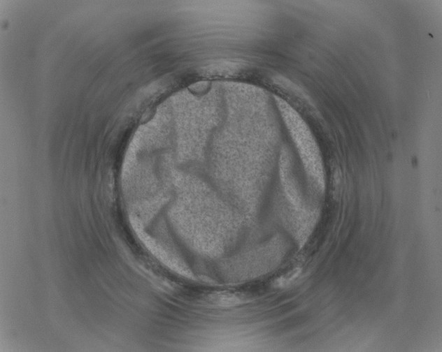 X0000076320498200610272008