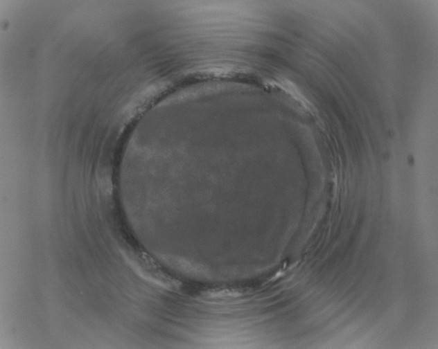 X0000076320500200610272008